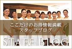 スタッフブログ