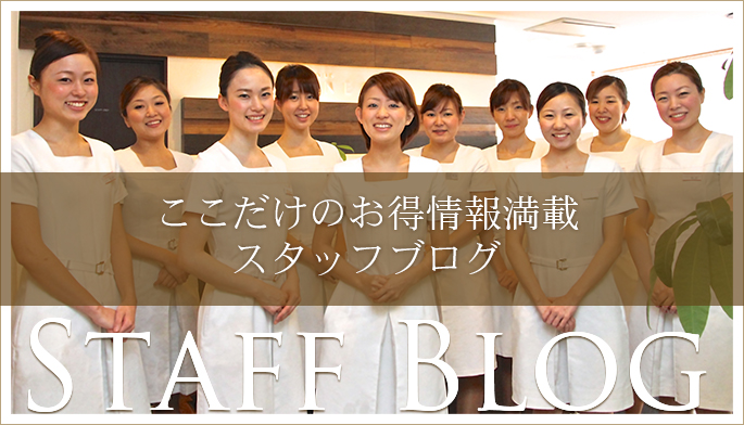 スタッフブログ